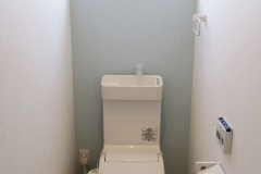 toilet_218