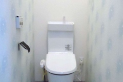 toilet_223